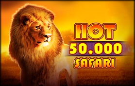 hot safari